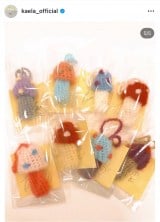 �ؑ��J�G���u�L�m�R���b�v�N���[���P�[�X�v(�ʐ^�̓C���X�^�O���� @kaela_official ���) 