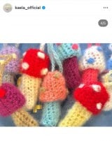 �ؑ��J�G���u�L�m�R���b�v�N���[���P�[�X�v(�ʐ^�̓C���X�^�O���� @kaela_official ���) 