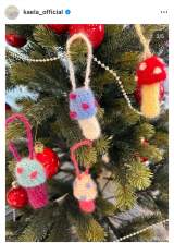 �ؑ��J�G���u�L�m�R���b�v�N���[���P�[�X�v(�ʐ^�̓C���X�^�O���� @kaela_official ���) 