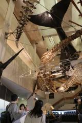 20�������w���Ƃȗ����邫���x(C)�e���r��� 