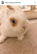 ���߂��݁u#���낭��#����������v(�ʐ^�̓C���X�^�O���� @yasu_megumi_official ���) 