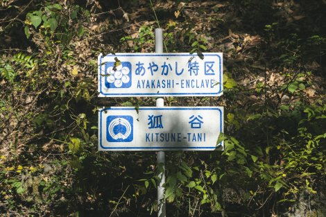 �f��w�S�̉ԉŁx�i2026�N3��27�����J�j��ʎʐ^�iC�j2026�u�S�̉ԉŁv����ψ��� 