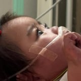 ���肭�肨�ږڂɁg�V�R�܂G�N�h �v�킸�������Ă��܂��Ԃ����Ɂu����ȉ����ڗ͂̎����傢��̂��v�u�������Ⴂ�M�����v 