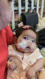 �h�ڊJ���u�[���h�̎��̐獁����� 