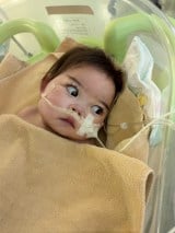 ���\������Ă����ł́h�ڊJ���u�[���h�͊������������� 