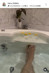 �����o�q�u����� �~���v(�ʐ^�̓C���X�^�O���� @hara_hideko ���) 