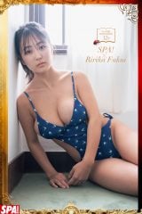 ���䗜仉�=�J�^�t�H�g�u�b�N�t���w�T��SPA!�x12��30���E1��6���������卆 �B�e/���؋M�� 