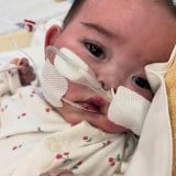 �u�����Ă��Ă���ėǂ������v�D�P20�T�ō�����ꂽ�����Əp��́g��_�f�]�ǁh 324���Ԃ̓��@���o���Ԃ�����1�N 