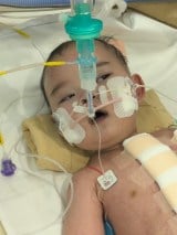 �O������p�����鍠�̐獁����� 