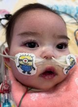 �L���g���Ƃ��Ă���獁����� 