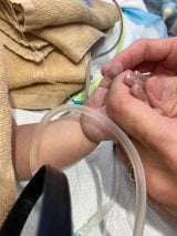 �����ƒ܂��L�тĂ���獁����� 