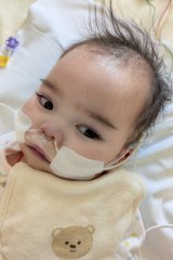 �˂������������Ă���獁����� 