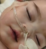 ���@���Ă��珉�߂Č��p���オ���Ă�悤�Ɍ������Ƃ����獁����� 