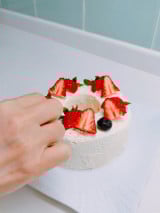 �n�Ӕ��ޑ�I�t�B�V�����u���O�uMinayo Land�v��� 