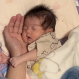 �h�p�p�̎�̂Ђ�h�Ƀt�B�b�g����A�Ԃ����̐Q������u���܂Ō����Ԃ�����1�ԉ����v�u�ق��؂̏_�炩���`���v 