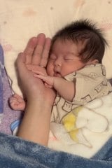 �p�p�̎�̂Ђ�ň��S���������l�q�̂��񂿂��/���[���񂿂���(@oosanchi)�� 