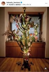 �R�J�h�P���^���E�u���N�P��̃T�{�e���c���[2025�o�[�W�������ǂ����v(�ʐ^�̓C���X�^�O���� @kokado_kentaro ���) 