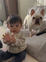 ���i����Ƃ��Ă��₳�������Z�����̂悤�Ȃ��낭��/����̓���(@shiro_frenchbull)���� �� 