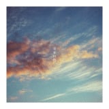 �z�M�V���O���u�K���̐F�v�W���P�b�g 