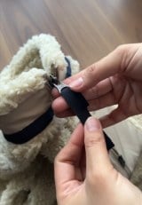 �t�@�X�i�[�̈���ɂ��������{�������āc(�ʐ^��@do_me26) 