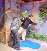 �w�Q����̂Ă��Ă��Ă�!�x���(C)�e���r��� 