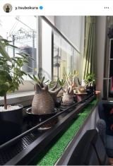 �䂪�ƁE�ؑq�R�K�u���w�̓��������A���I������ăv���[���g���Ă��ꂽ!�v(�ʐ^�̓C���X�^�O���� @y.tsubokura ���) 