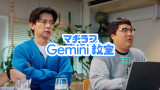 �}�a���u Gemini ���� 