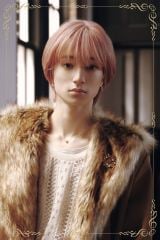 �uVOKSY DAYS�v���V�� 