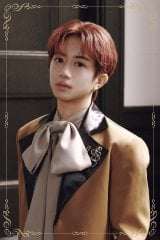 �uVOKSY DAYS�v���i���� 