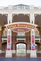 �����f�B�Y�j�[�����h�������f�R���[�V����(C)Disney 