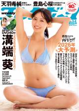 �a�[��=�w�T���v���C�{�[�C�x3&4��(�W�p��) (C)�ז�W�i/�W�p�� 