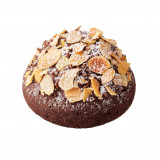 �g�����t�V���R���h�[�i�c �v�����l 