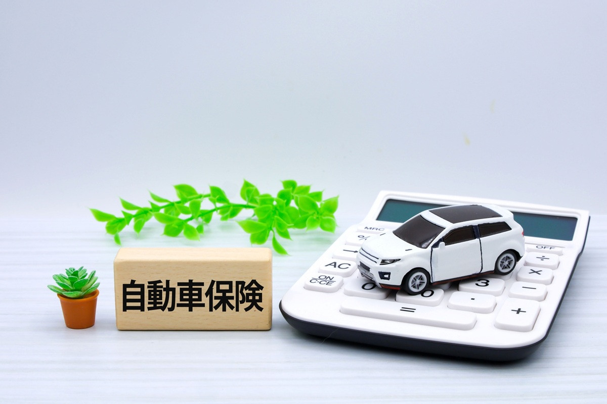 �u�������߂̎����ԕی� �_�C���N�g�^�v�Ƃ́H�i�摜�̓C���[�W) 