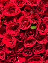 �ďĉ�A������񍐂������e�̃V���b�g�i�ʐ^�̓C���X�^�O�������j 