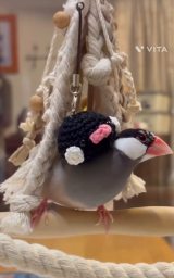 ���킢����������Ă��ꂽ�ҁ[���Y����/�ҁ[����[����(@p_taro.kana)�� 