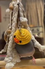 ������͂Ђ悱�̖X�q/�ҁ[����[����(@p_taro.kana)�� 