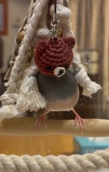 ���܂̖X�q�������ۂ���ҁ[���Y����/�ҁ[����[����(@p_taro.kana)�� 