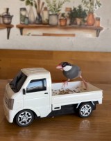 �~�j�J�[�ɏ���ĉa�����΂ނҁ[���Y����/�ҁ[����[����(@p_taro.kana)�� 