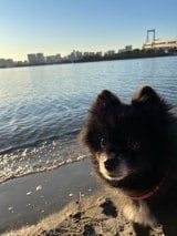 �쓇�،��I�t�B�V�����u���O��� 