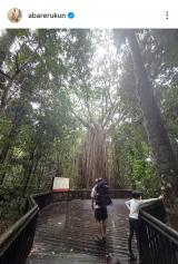 ���΂��N�u�J�[�e���t�B�O�c���[&�~���[�~���[��v(�ʐ^�̓C���X�^�O���� @abarerukun ���) 