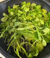 �����^���u�����N���ĉƑ��Ŏ����������܂����v(�ʐ^�̓u���O���) 