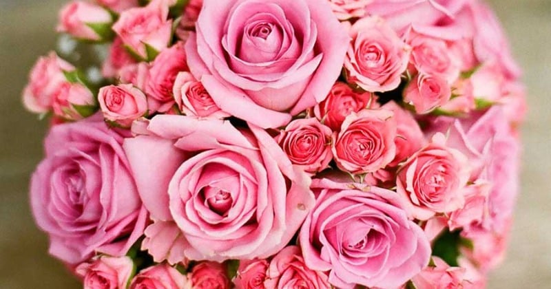 清水尚弥、入籍を発表