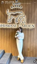 ��c����q�u�N���N�n�͉Ƒ��Ɨ��s�v(�ʐ^�̓C���X�^�O����@akiko_yada ���) 