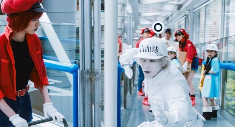 ���F�i����=�Ԍ����@�E�F������=������(�D����)���f��w�͂��炭�זE�x�����j���[�h�V���[�Œn��g�������iC�j�������^�u�k�� �iC�j���c�d���E���É��ꐶ�E�������^�u�k�� �iC�j2024 �f��u�͂��炭�זE�v����ψ��� 