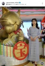 ������ގq�u�����Ƃ��̂��삳�񕗂ɂ��Ă�������v(�ʐ^�� @sakurai.hinako_official ���) 