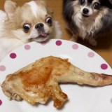 �N���X�}�X�̃`�L����_���ʏ�����/��������Ƃ���킳��(@echigoya_minimoke)�� 