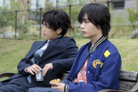 �吼�����g�j�[�g�h�����ÍF�g�Y���h�R���r���z���@�w���l�l�C�o�[�Y�x��1�b���炷�� 