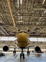 �uC-3PO ANA JET(�@�̋L��:JA743A)�v(�ʐ^��:ANA) 