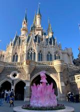 �����f�B�Y�j�[�����h�w�~�j�[�~�p���p���x�X�^�[�g! (C)ORICON NewS inc. 