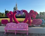 �����f�B�Y�j�[�����h�w�~�j�[�~�p���p���x�X�^�[�g! (C)ORICON NewS inc. 